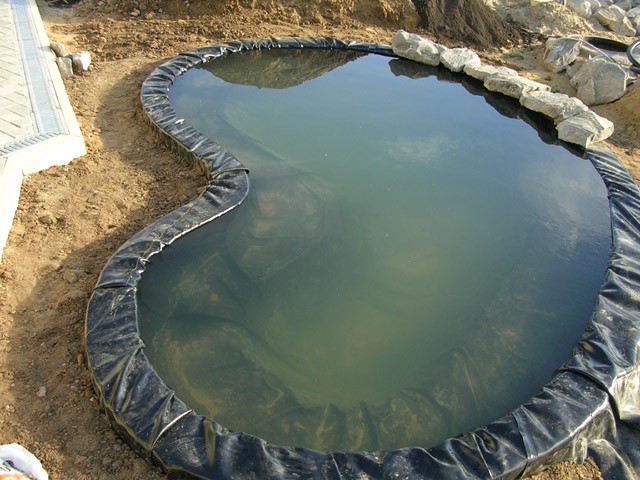 Heart-shaped film pond photo