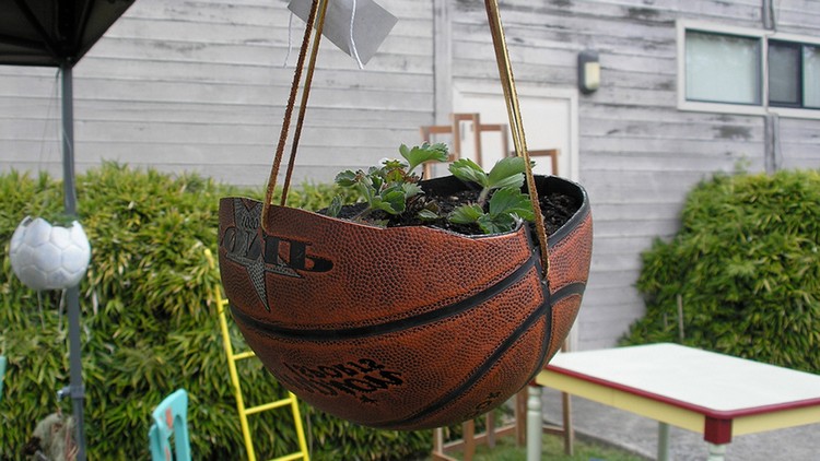 Jardinière de basket inhabituelle