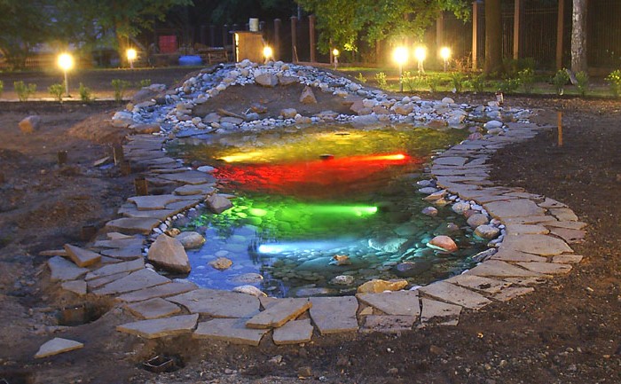 Beautiful illumination of the pond in the photo