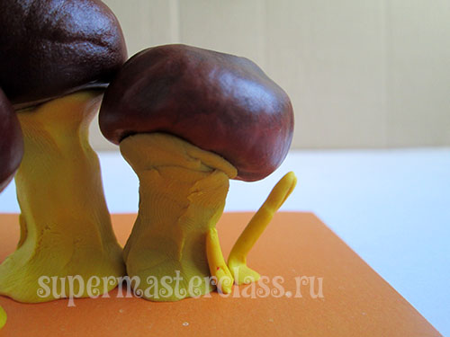 How to make chestnut mushrooms