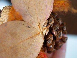 Crafts made of natural material in the garden. Fairy yourself