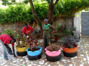 Ambachten voor tuin en tuin met eigen handen