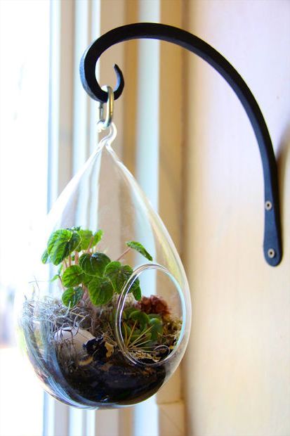 hanging florarium by one's own hands 00