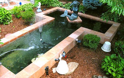 Ready raised pond with fountain