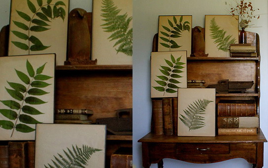 Herbarium for decoration is easy to do with your own hands.