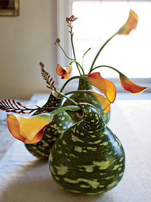 Dekorativní dýňové vázy