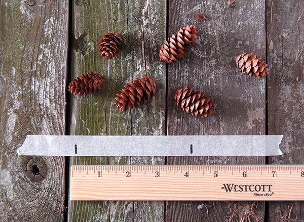simple garland of cones with your own hands 03
