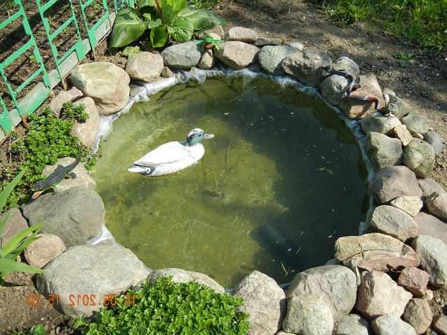 We decorate the pond from the film