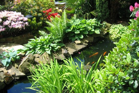 Садовий ставок з рибками своїми руками