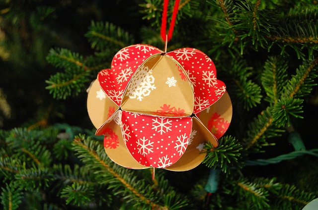 ball of paper on the tree