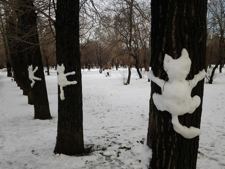 Сладки снежни човеци - малки котки по дърветата