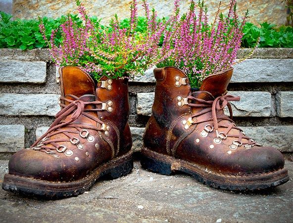 old shoes like flower pots