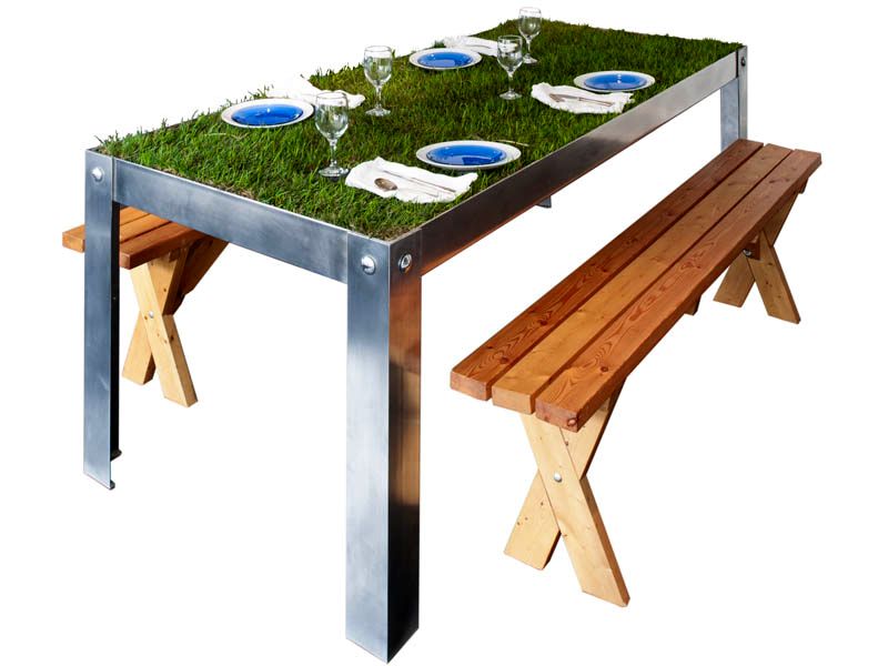 Tisch mit Gras picnyc