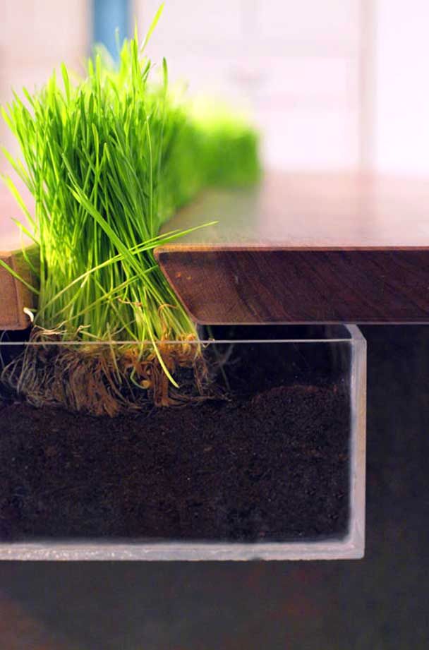 table with grass Planter