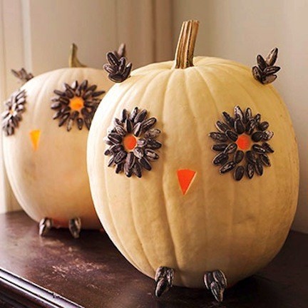How to make an owl out of pumpkins - crafts with children
