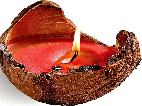 candle in coconut