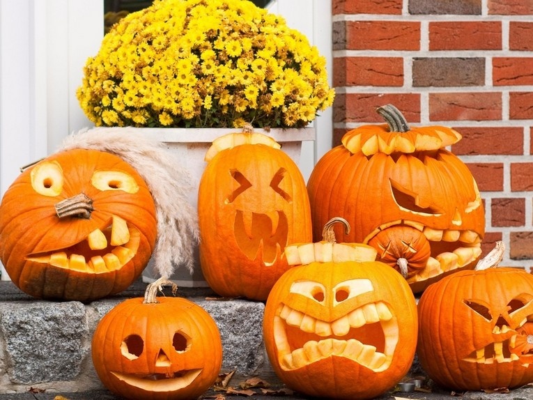 How to decorate pumpkins in the garden and cottage - photo