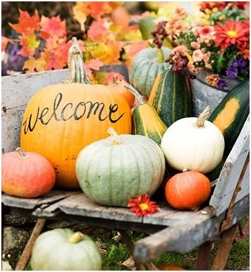 Welcome pumpkin for autumn garden decor