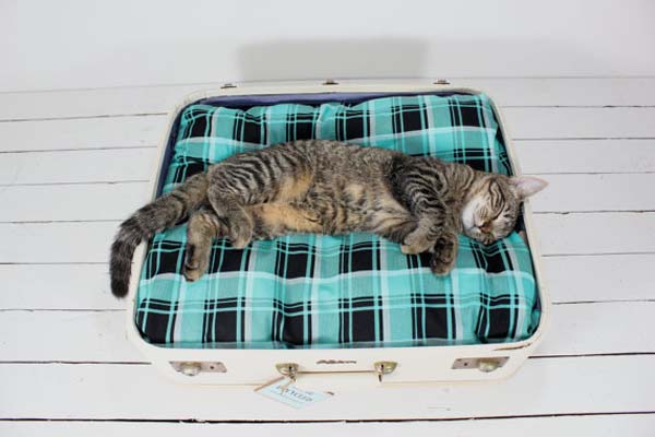 Cat's lounger with your own hands