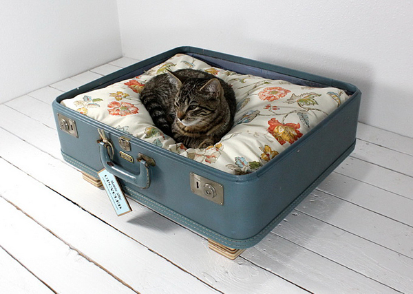 Cat's lounger from a suitcase