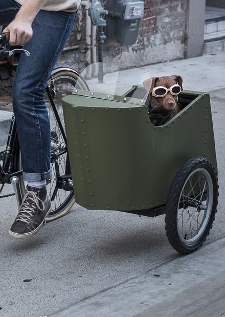 Bicycle stroller for a dog
