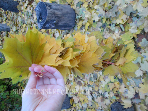 Wreath of maple leaves