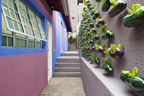 вертикальний підвісний сад з пластикових пляшок