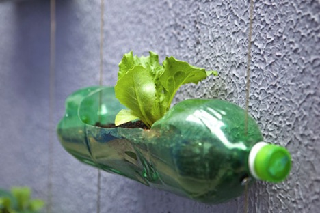 Verticale hangende tuin van plastic flessen