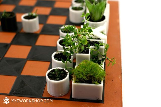 mini-pots with plants in the form of chess pieces