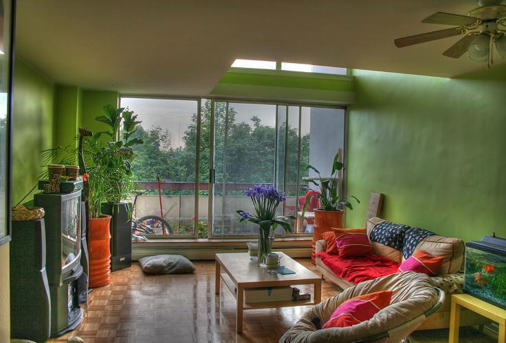 Stylish green interior photo